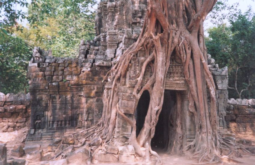 Tree over-growing Ta SomTemple in northern Cambodia