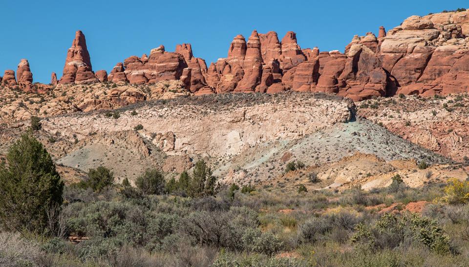 Rock Pinnacles in Arches National Park