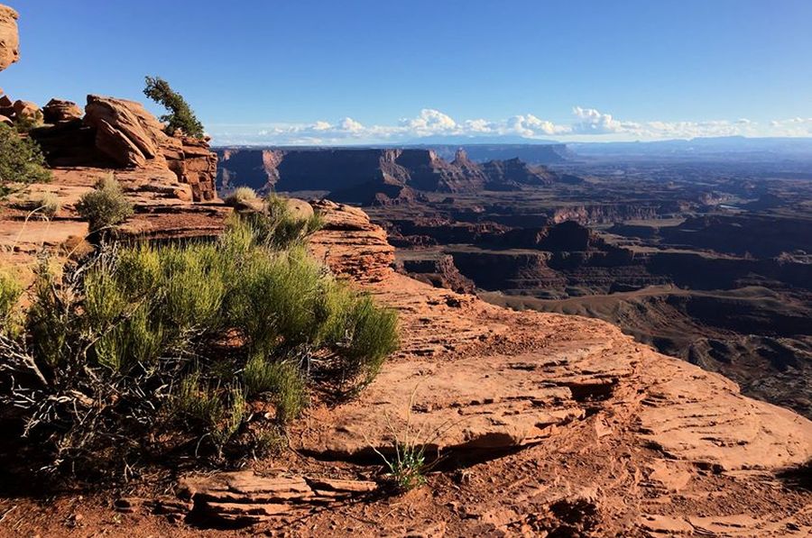 Overlook from Island in the Sky, Canyonlands