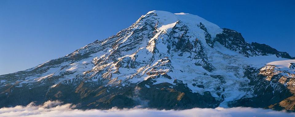 Mount Rainier ( 4392m ) Pacific Ranges, Washington State, USA from Colquhoun Peak