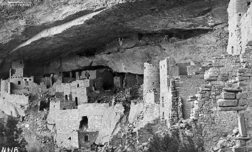 " Cliff Palace " - cliff dwellings on Mesa Verde