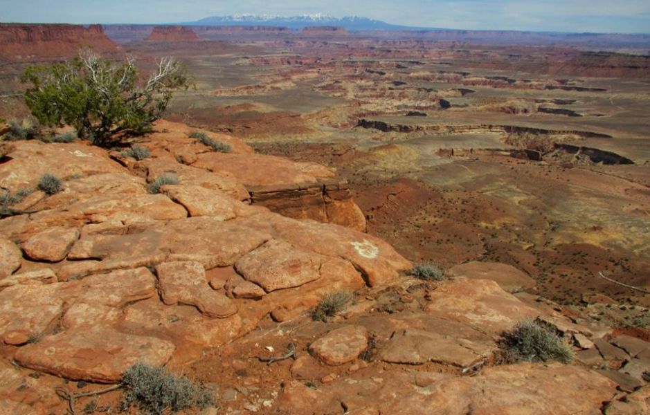 Overlook from Island in the Sky, Canyonlands