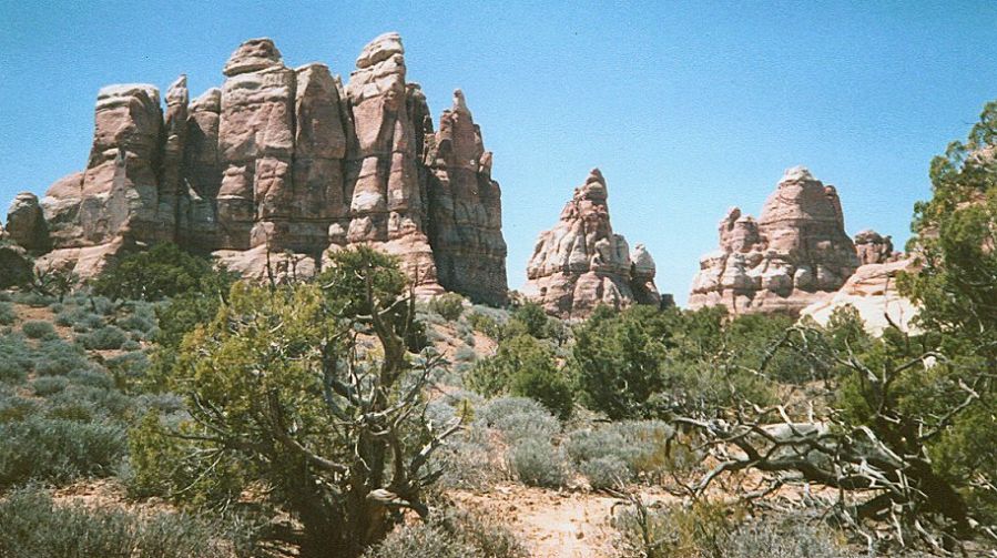 Sandstone Pinnacles in the Needles District of Canyonlands National Park - trail from Elephant Hill to Chesler Park