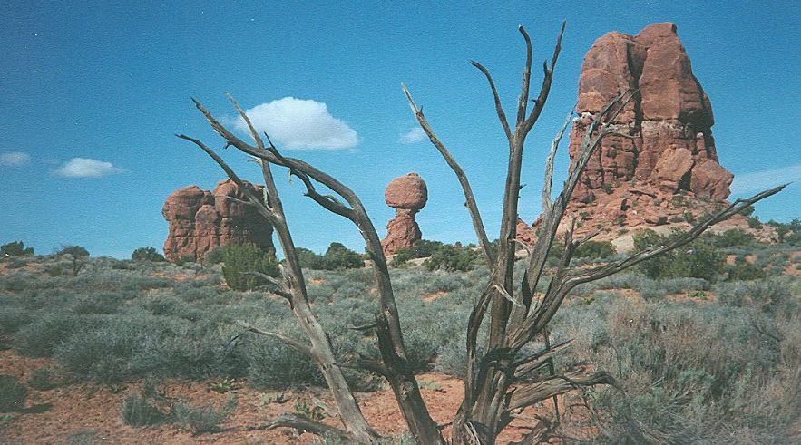 Rock Pinnacles and Balanced Rock Pedestal in Arches National Park