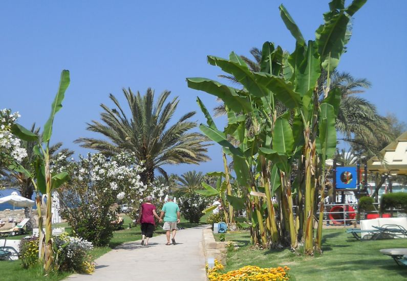 Flower Gardens along the waterfront pathway at Paphos