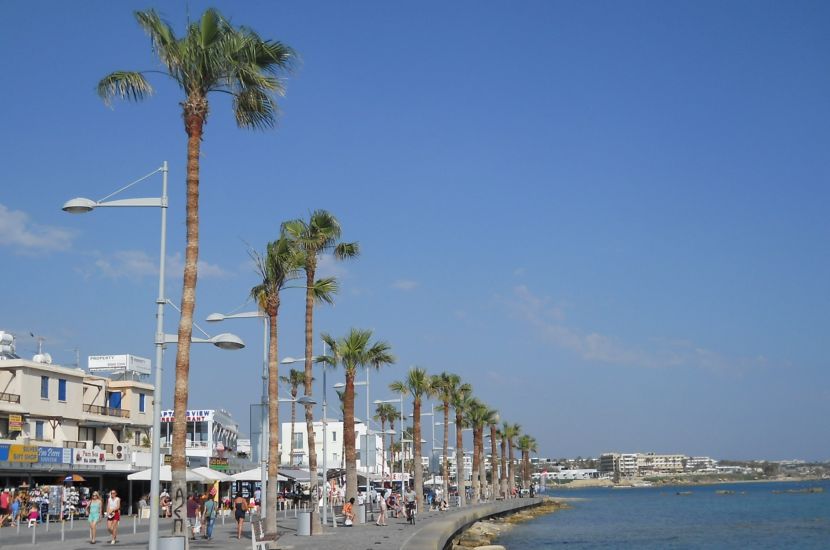Palm trees lining the esplanade at Paphos