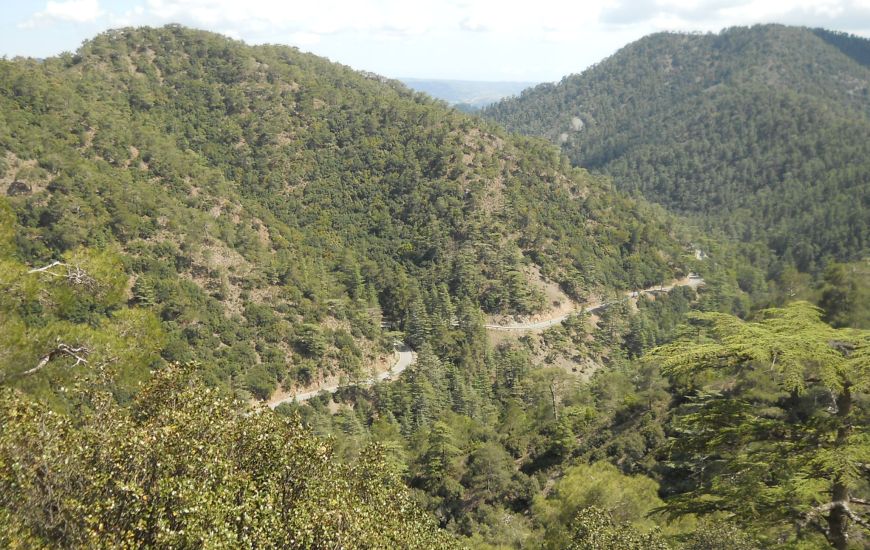 View of the road through Cedar Valley on ascent of Mount Tripylos