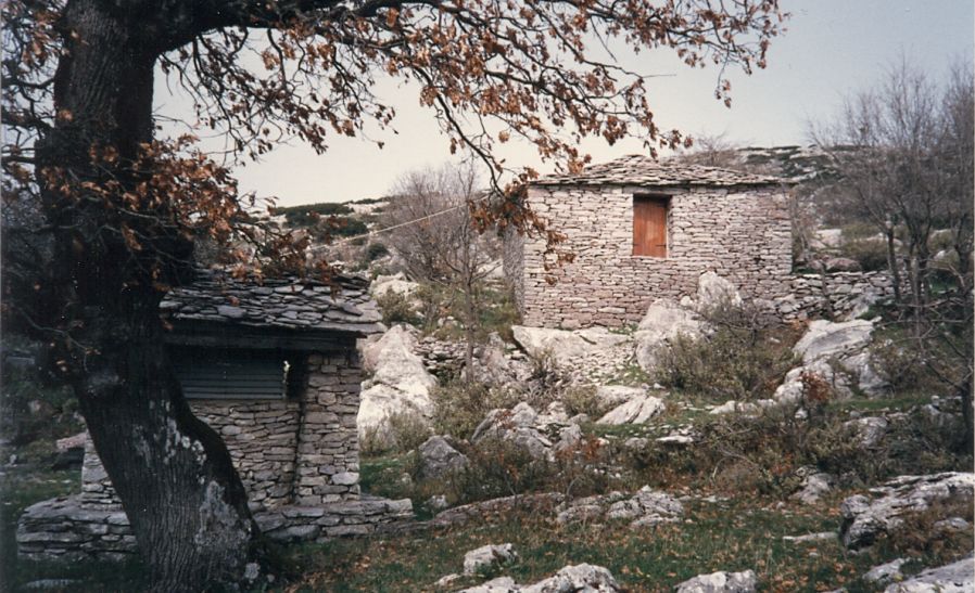 Sanctuary at Bassae ( Vassae ) in the Peloponnese of Greece