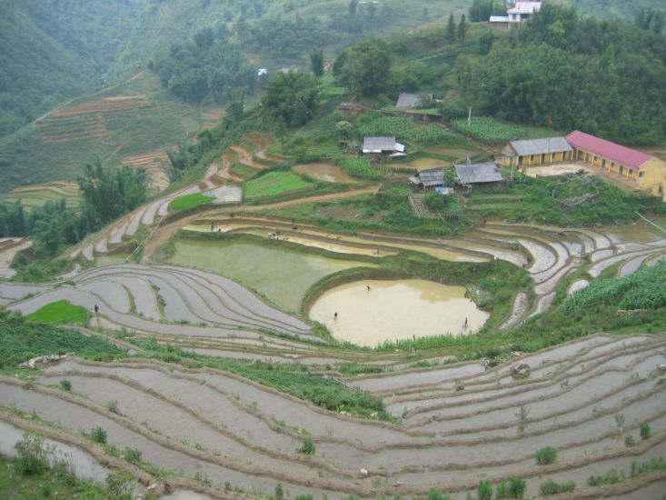 Rice Terraces in Lao Cai in Northern Vietnam