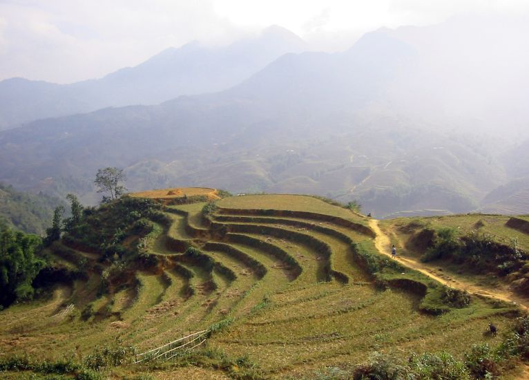 Terraced Landscape near Sa Pa in Lao Cai Province of Northern Vietnam