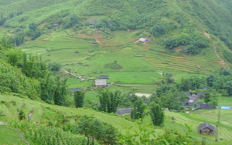 Rice Terraces in Lao Cai Province in Northern Vietnam