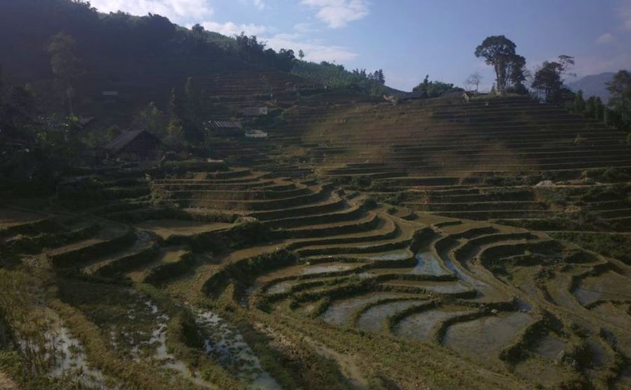 Terraced Landscape near Sa Pa in Lao Cai Province of Northern Vietnam