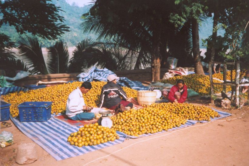 Orange sellers at Luang Prabang