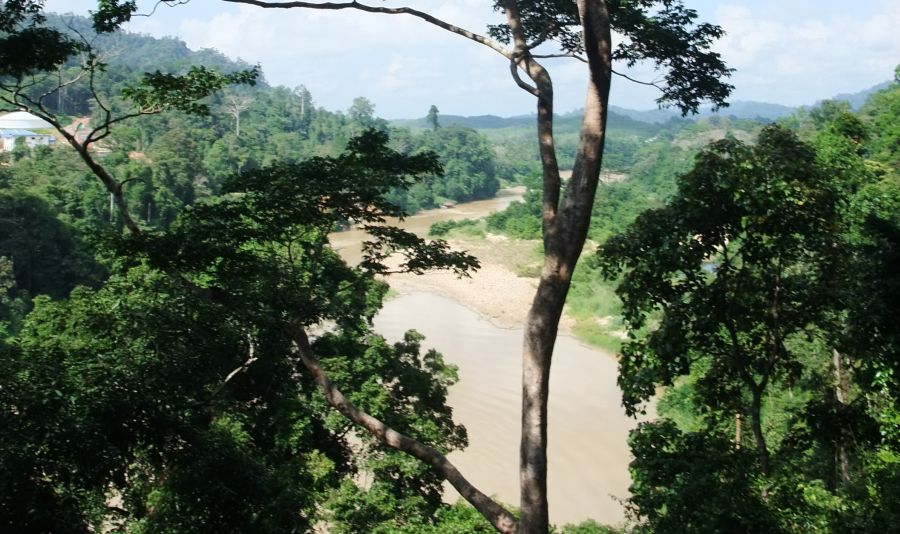 Sungai Tembeling in Taman Negara National Park