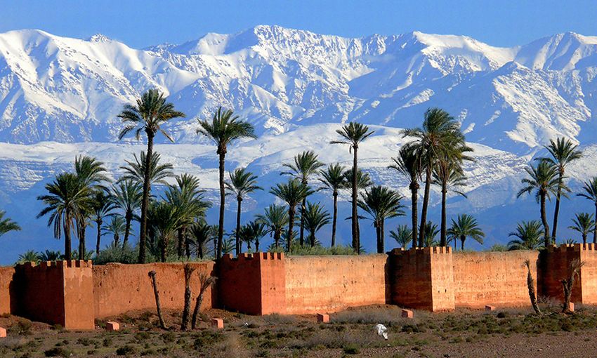 High Atlas from Palmery at Marrakesh