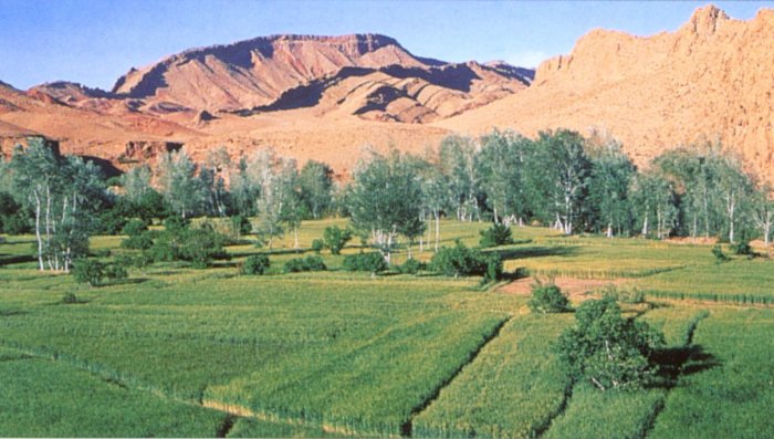 Dades Valley in sub-sahara Morocco