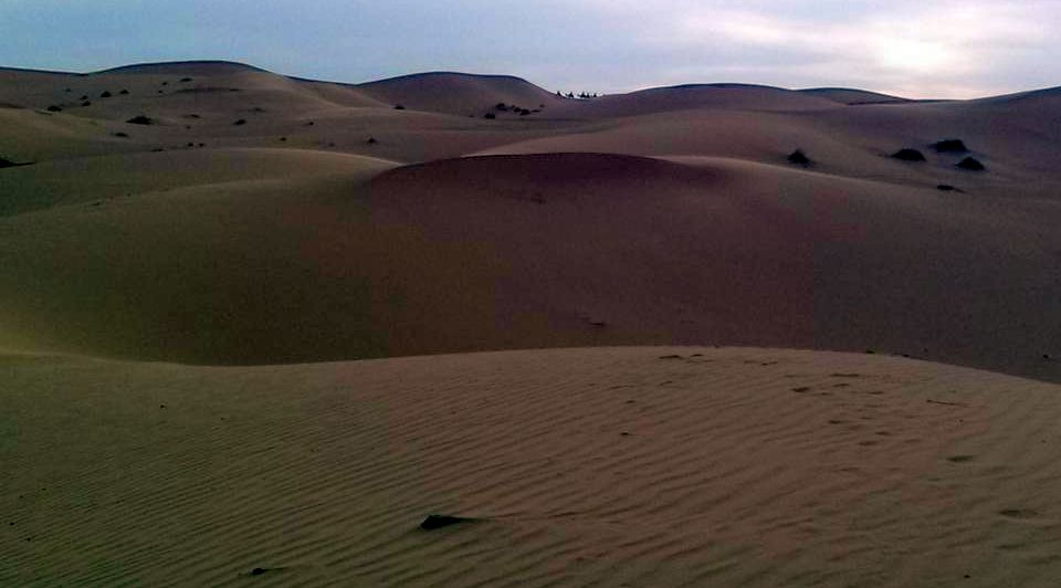 Sand Dunes at Erg Chebbi in the sub-sahara desert.