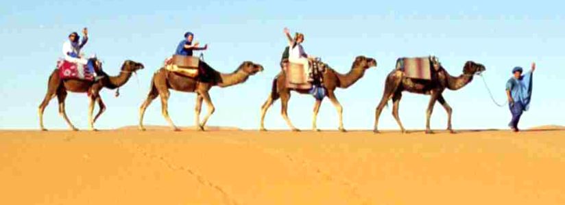 Camel Train at Erg Chebbi in the sub-sahara desert.