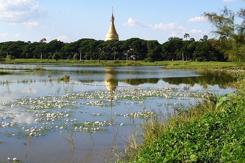 Lake at Inwa near Mandalay
