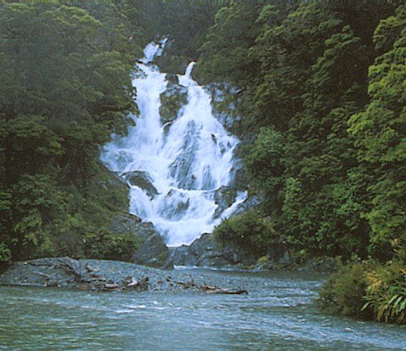 Fishtail Falls in Aspiring National Park