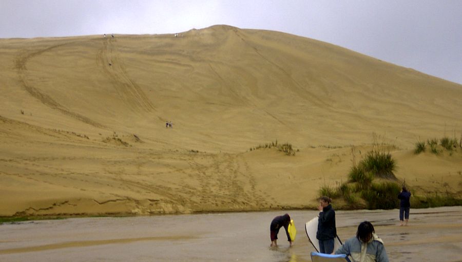 Sand-dune valley off 90 Mile Beach in North Island of New Zealand