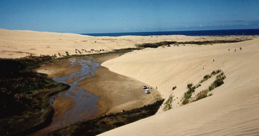 Sand-dune valley on 90 Mile Beach in North Island of New Zealand
