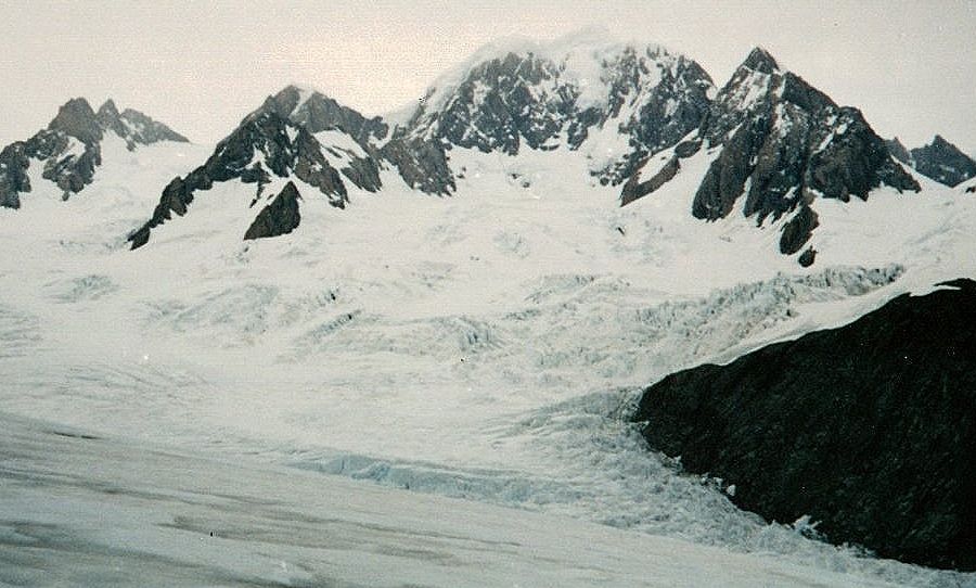 Mt. Tasman from the Fox Glacier