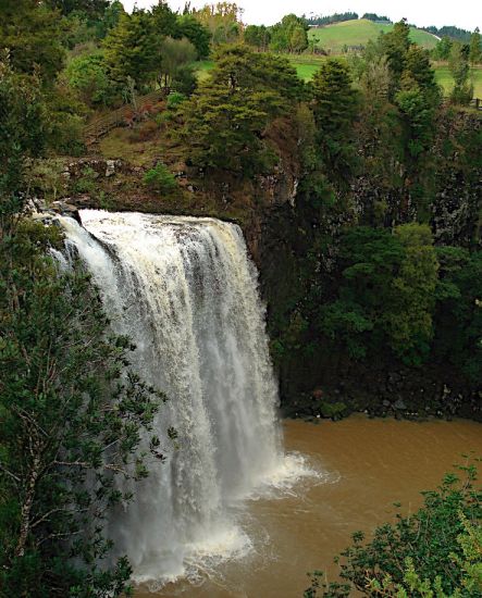 Haruru Falls on the Waitangii River in the North Island of New Zealand
