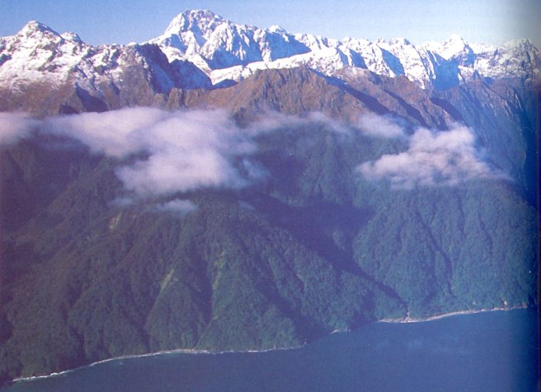 Aerial view of Milford Sound in Fjiordland of the South Island of New Zealand