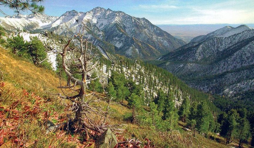 Sayan Mountain Range in southern Siberia of Russia