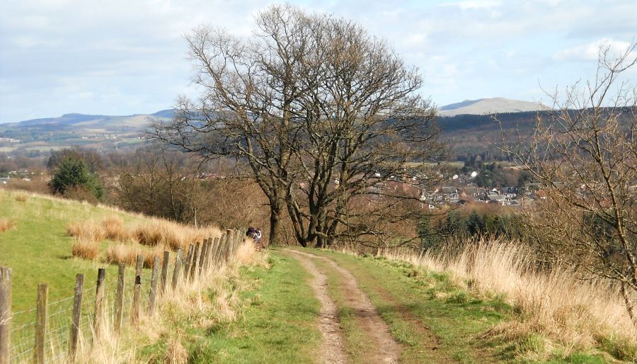 Path from Tillicoultry back to Wood Hill