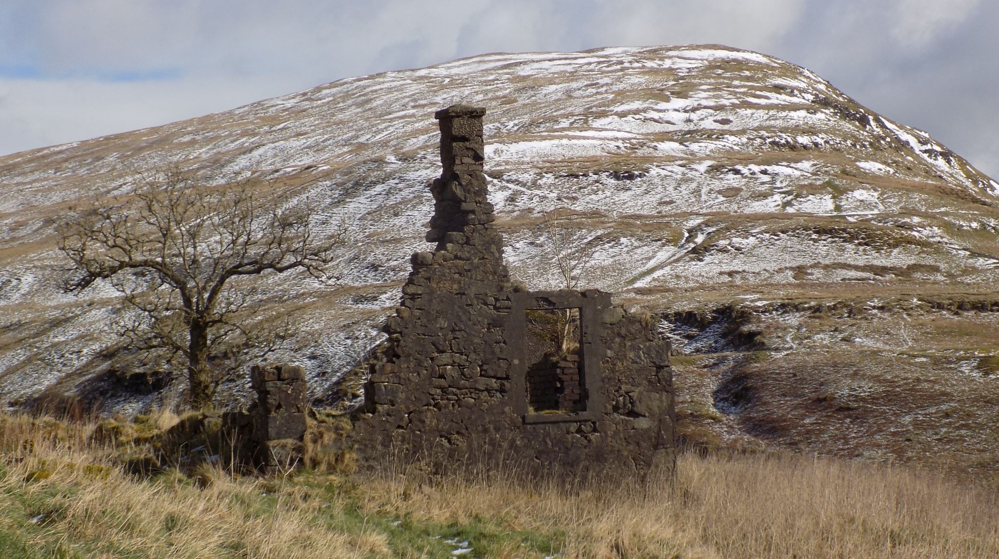 Cort-ma-Law from ruined cottage at Allanhead above Campsie Glen in the Campsie Fells