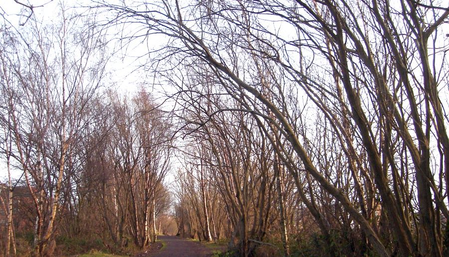 Clyde River Walkway from Yoker to Clydebank