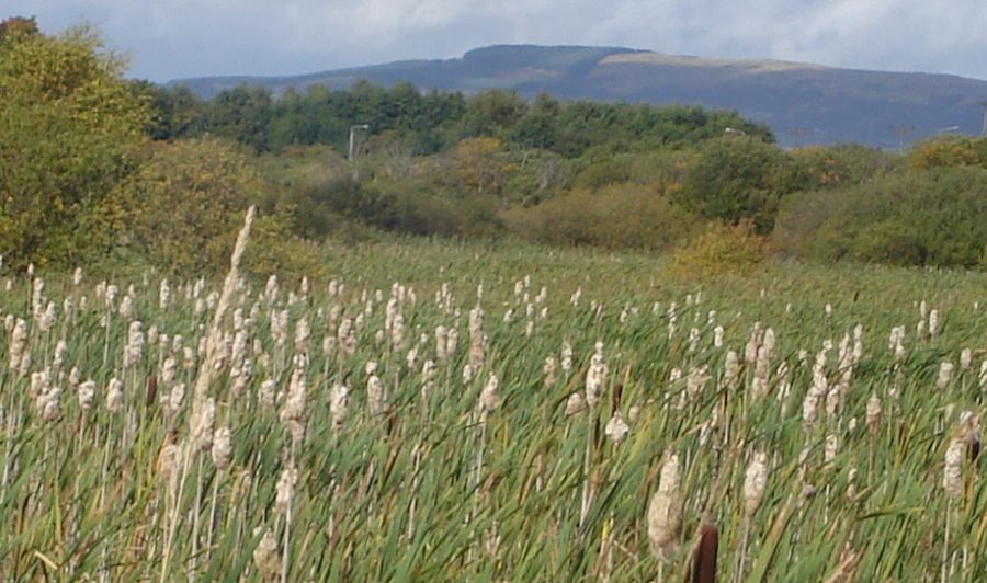Campsie Fells from Possil Lake Wildlife Reserve