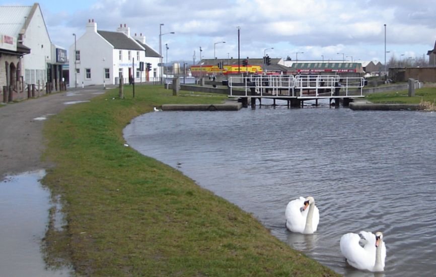 Swans at Lock 5 on Forth and Clyde Canal