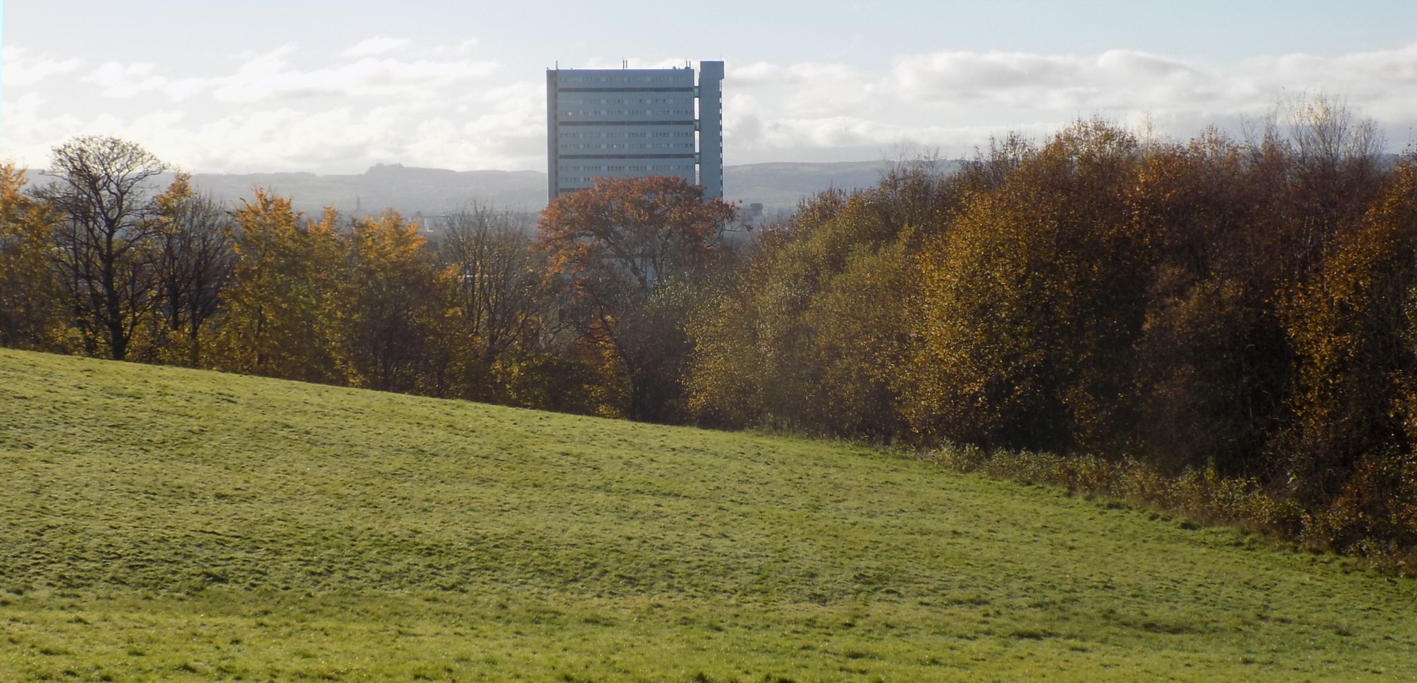 Tower block at Anniesland from Dawsholm Park