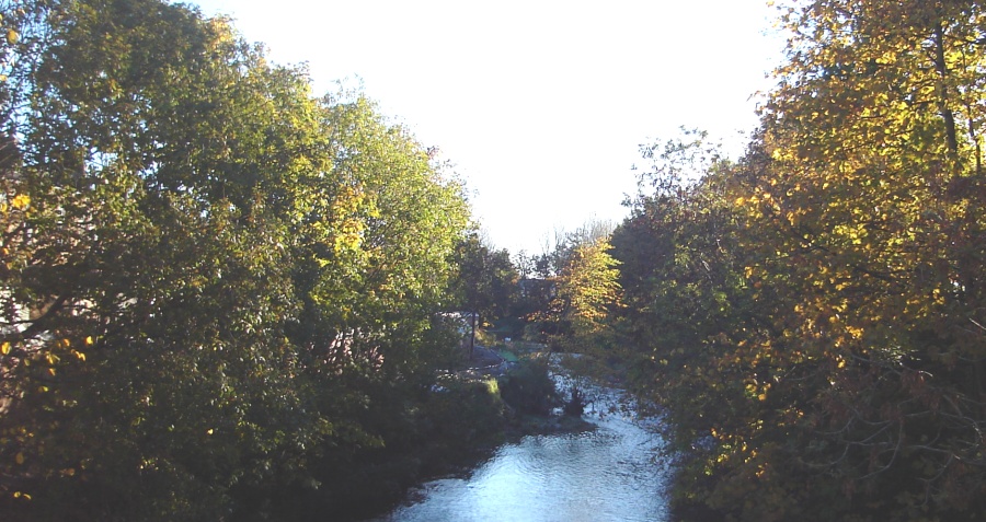 White Cart River from Langside Drive Bridge