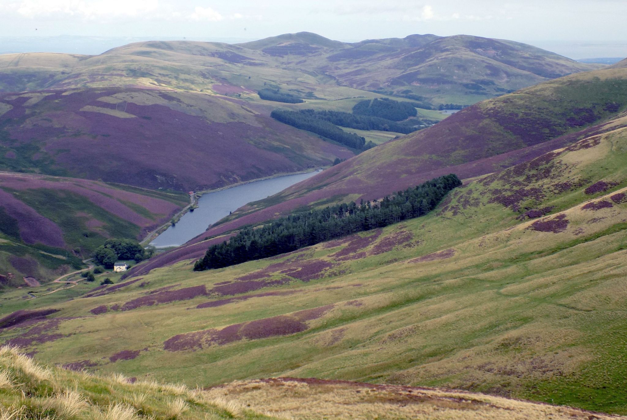 The Howe, Logganlee Reservoir and Pentland Hills from Scald Law
