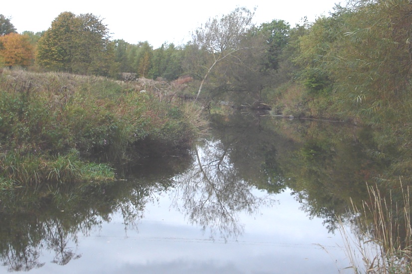 White Cart River in Pollok Country Park