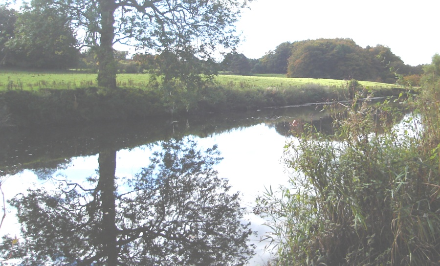 White Cart River in Pollok Country Park