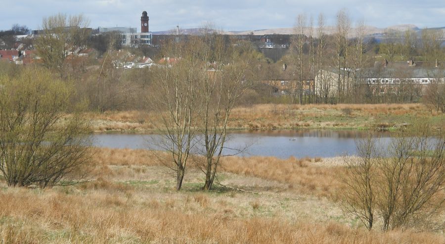 The Clock Tower of Stobhill Hospital in Springburn from Robroyston Park