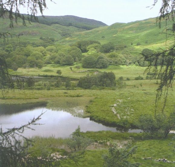 Loch Trool in the Galloway Hills