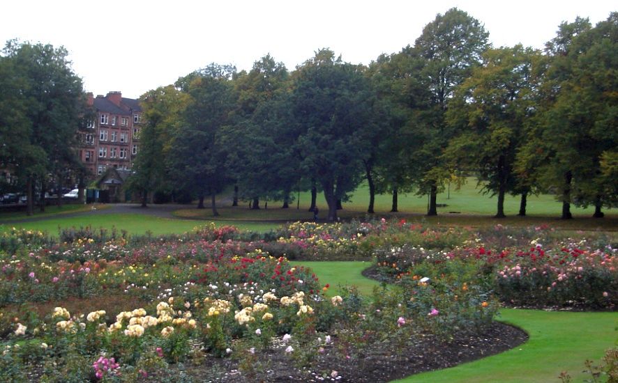 Rose Gardens in Tollcross Park