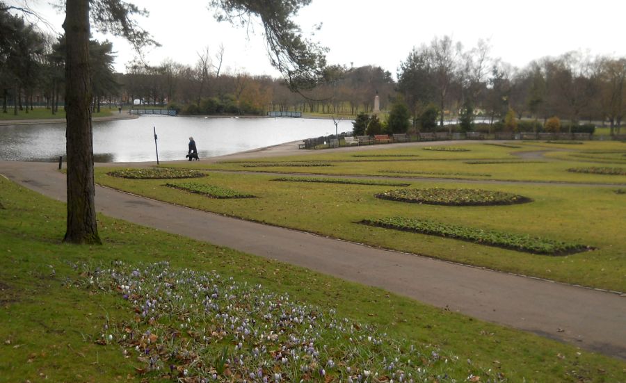 Pond in Victoria Park