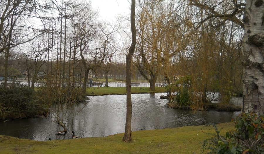 Nature Pond in Victoria Park in Glasgow