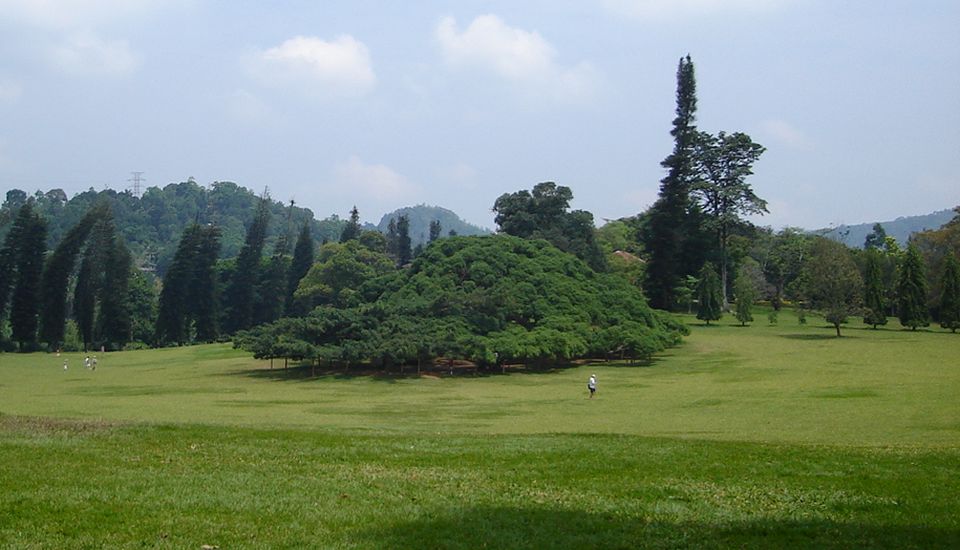 The Great Lawn in Peradeniya Botanic Gardens near Kandy