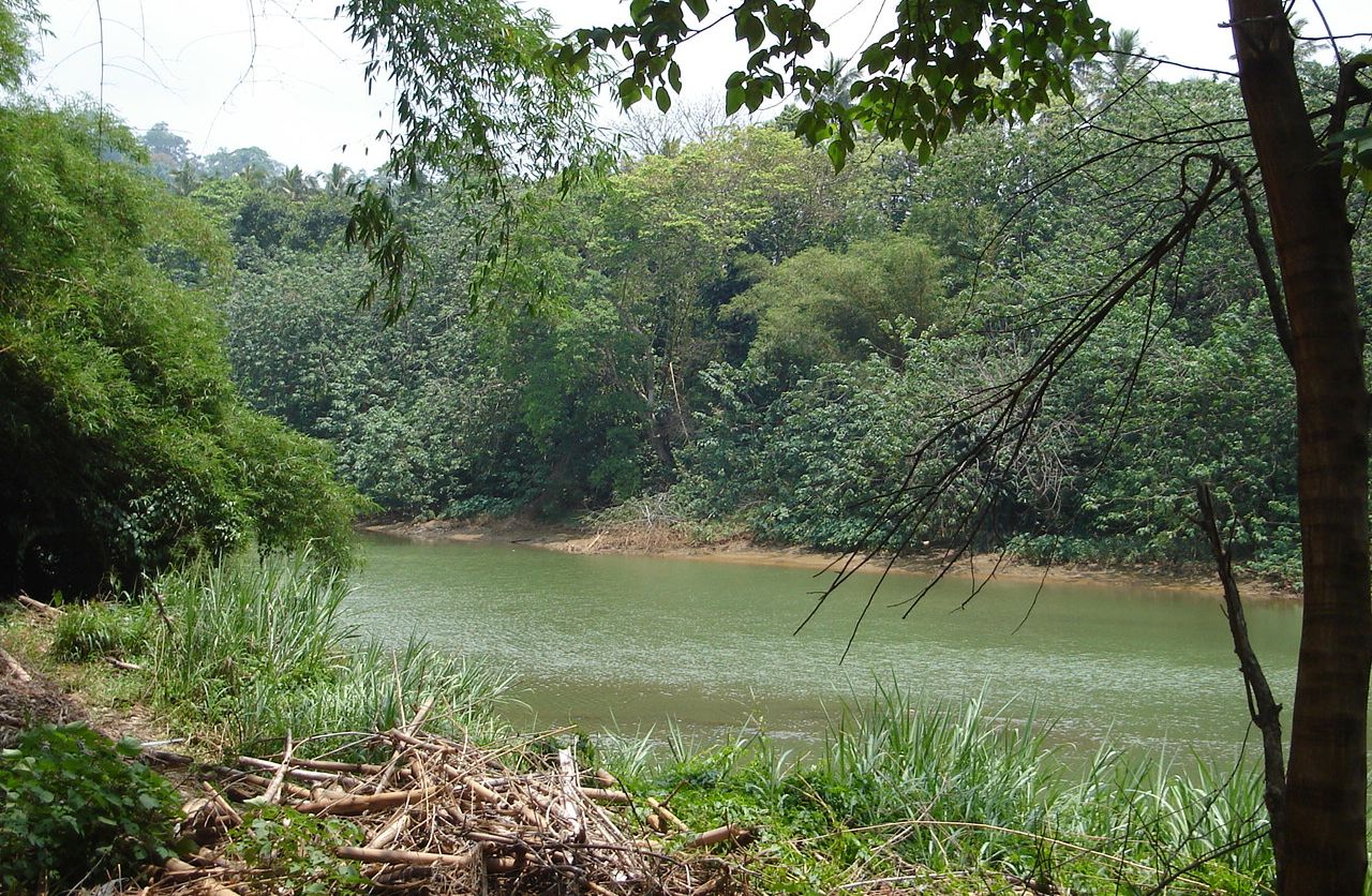 Mahaweli Ganga River in Peradeniya Botanic Gardens