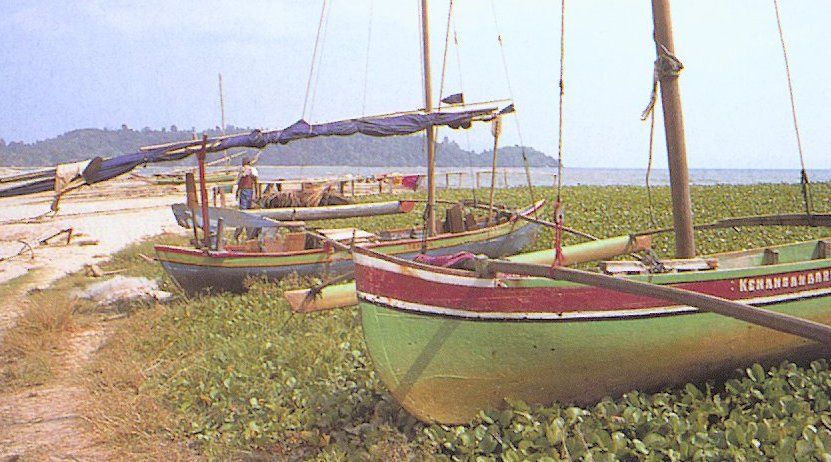 Fishing Boats at Pantai Pandan near Sibolga