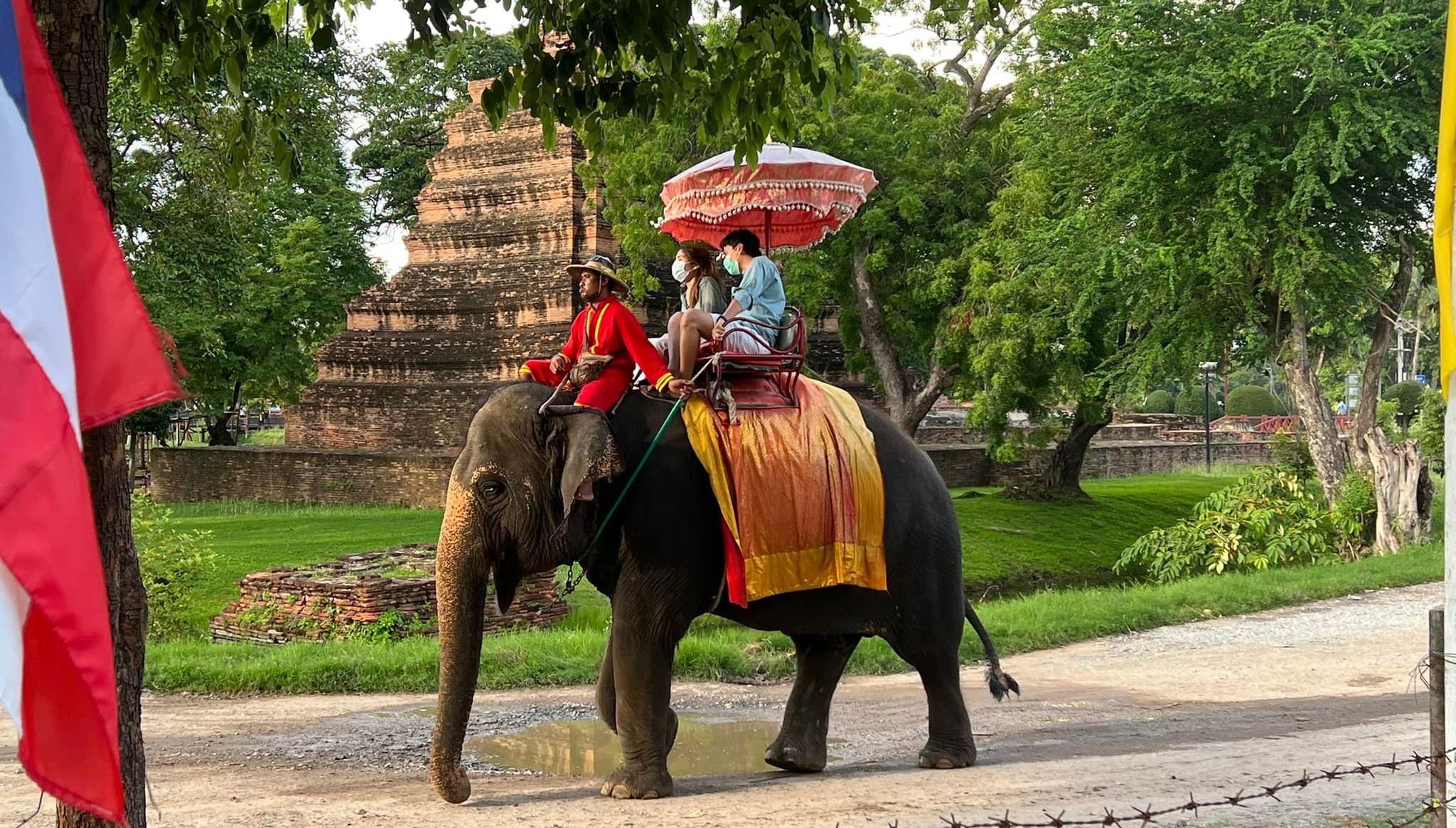 Elephants at Ayutthaya Historical Park in Northern Thailand