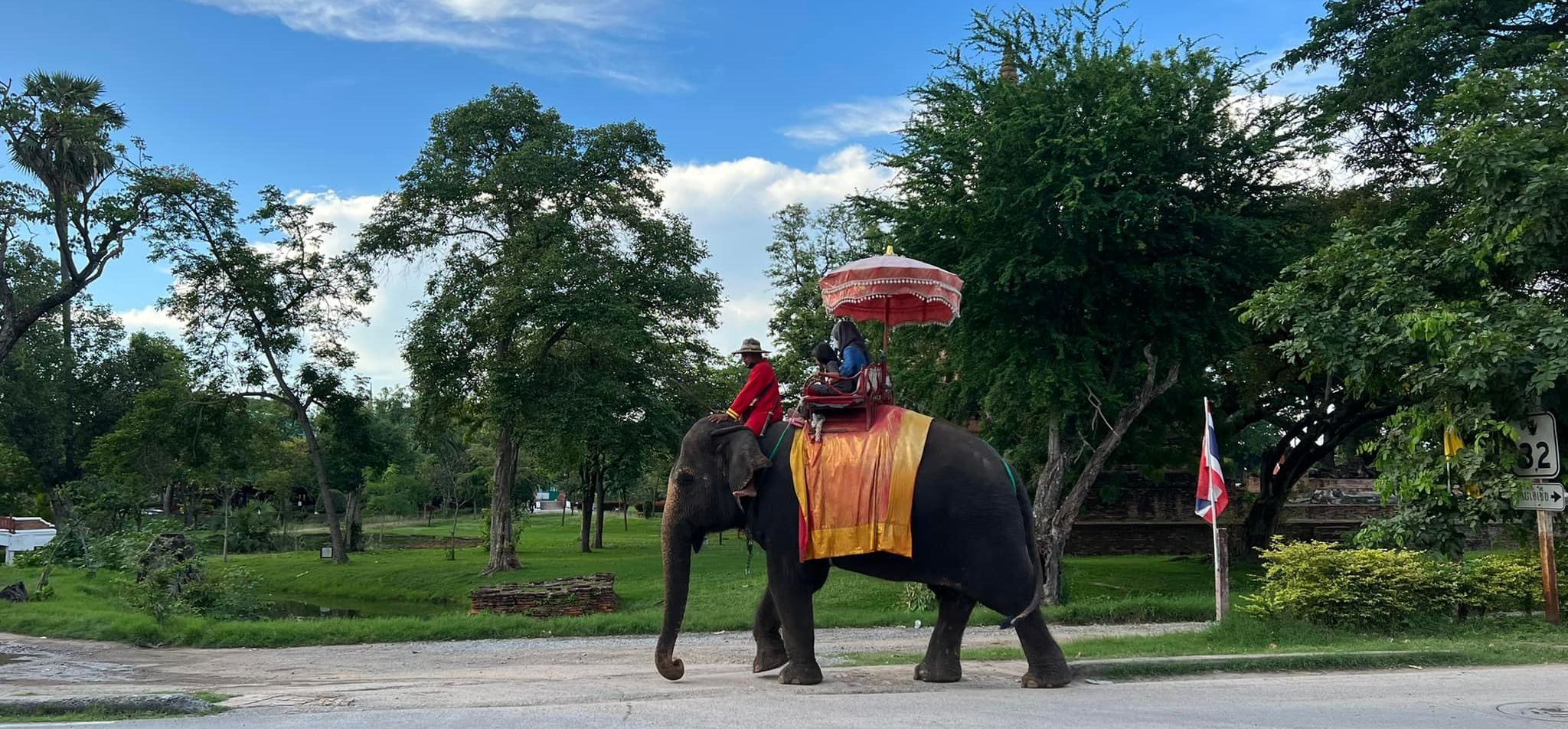 Elephants at Ayutthaya Historical Park in Northern Thailand